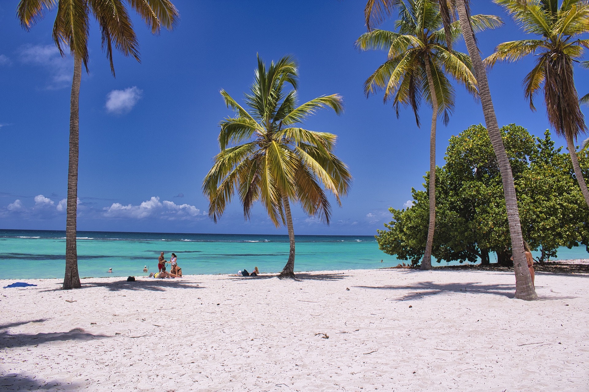 beach 6517214 1920