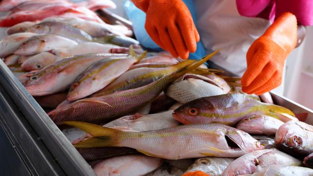 poissons
